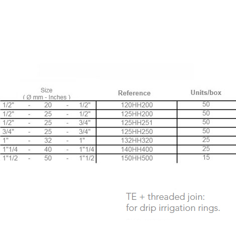 +info: TWO FEMALE TEE